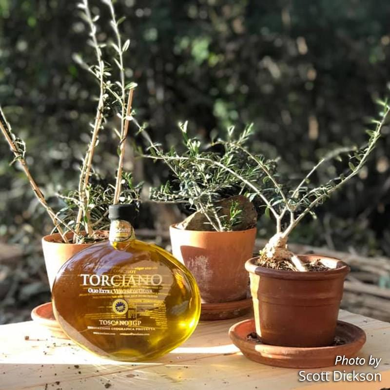 LAUDATOSI Extravirgin Olive Oil -  EXCELLENCE Toscana IGP